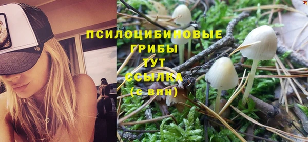 гашиш Аркадак
