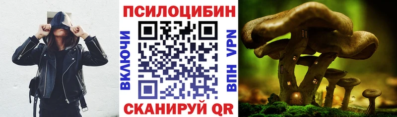 Псилоцибиновые грибы Psilocybe  Купить где  Красный Холм 